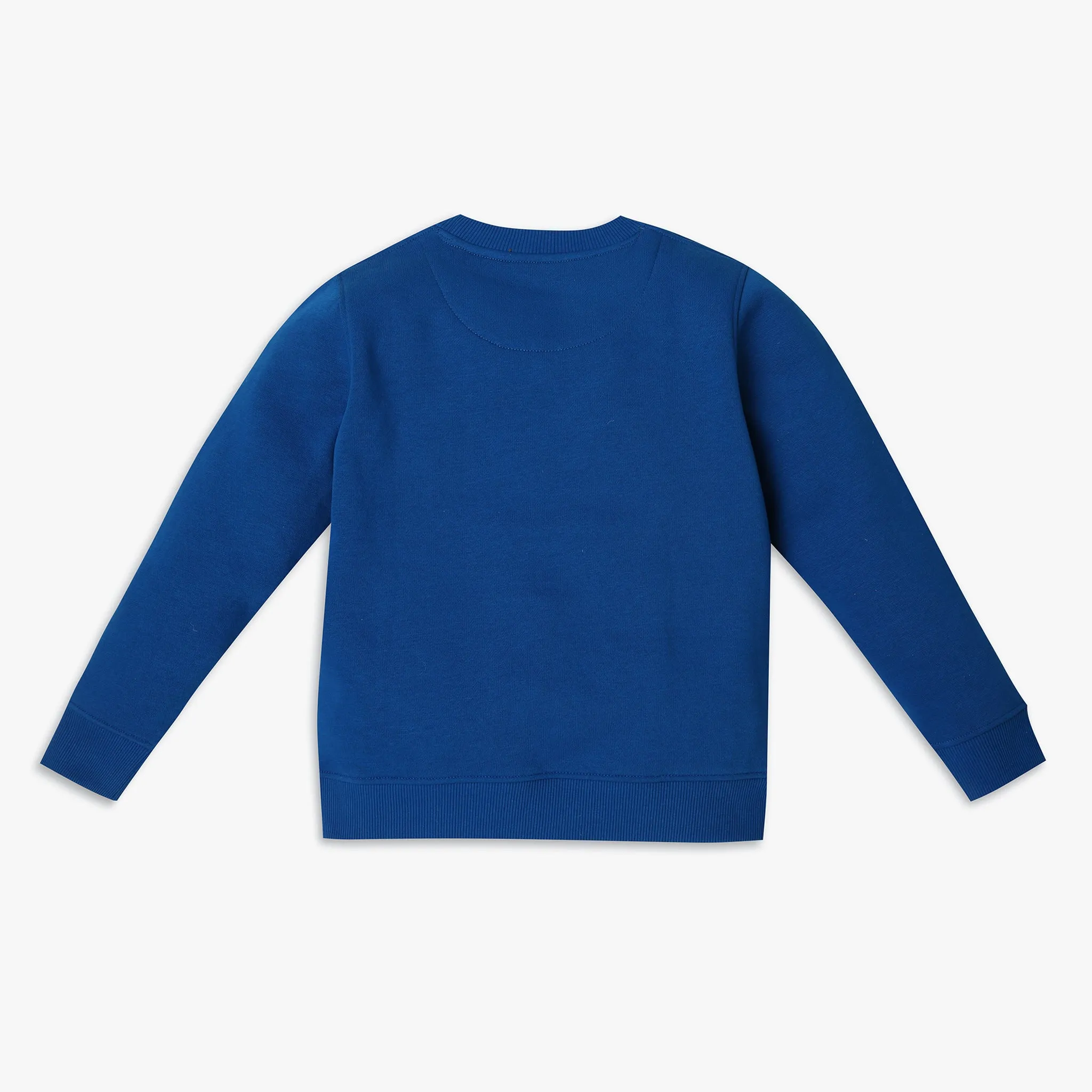 Boy's Regular Fit Graphic Sweat Tees